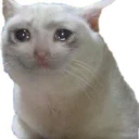 catcry