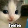 hehe